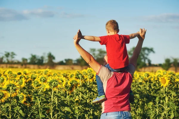 Ojciec z dzieckiem w polu kwitnących słoneczników, dzień ojca — Zdjęcie stockowe