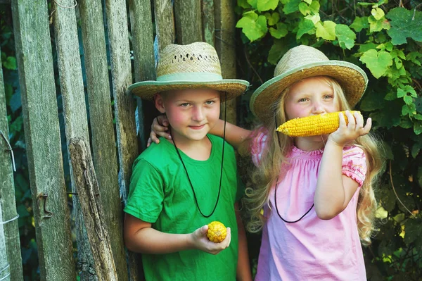 Los niños comen maíz hervido al aire libre . — Foto de Stock