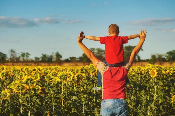 Père avec enfant dans un champ de tournesols en fleurs — Photo