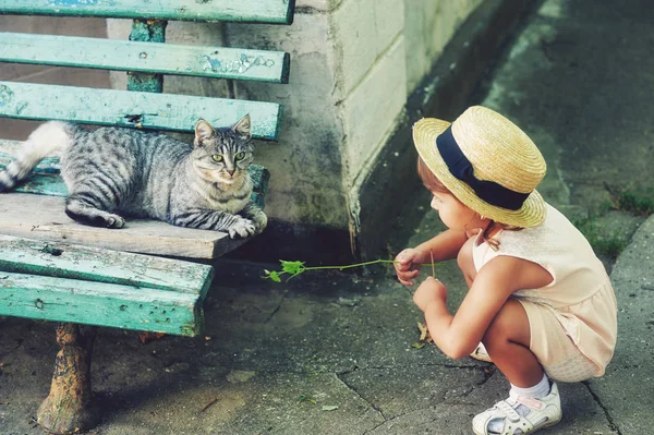 庭で猫と遊ぶ少女 — ストック写真