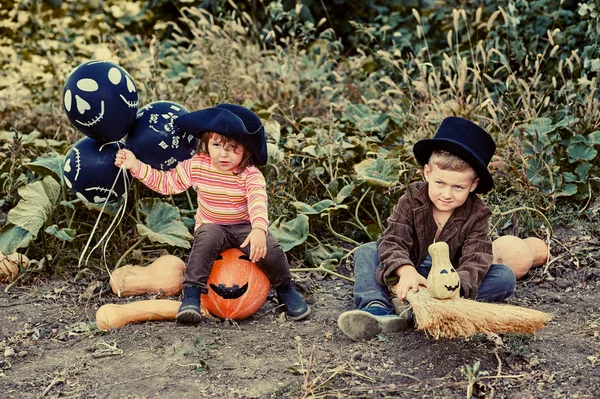 Niña con hermano en sombreros de disfraces al aire libre con calabazas. Feliz Halloween  ! — Foto de Stock
