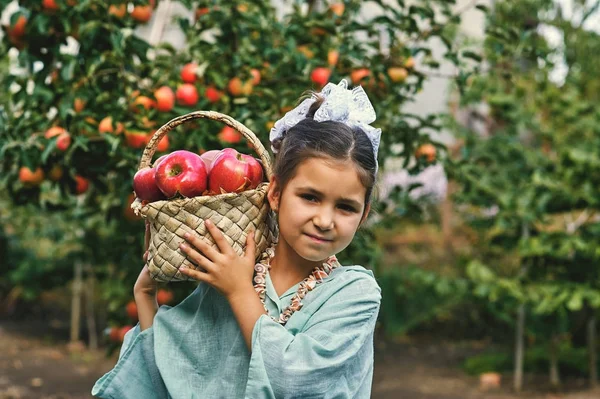 Çocuklar sonbaharda elma toplamak. Bir sepet elma tutan kız