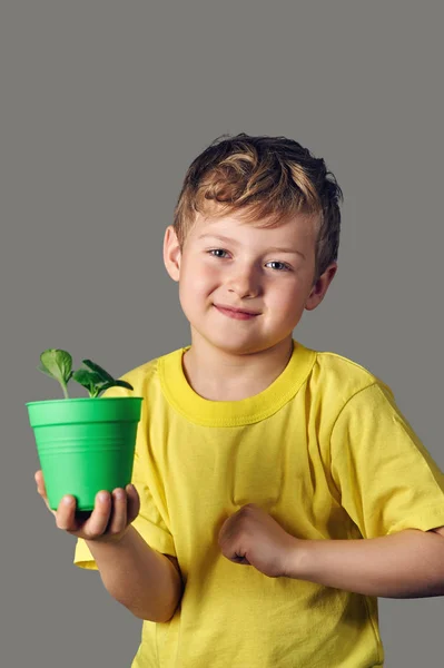 Smiling Boy Sprouts Hand Gray Background — Stock Photo, Image