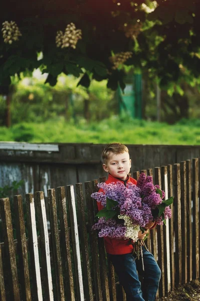 Portrait of a boy with a bouquet of lilacs . Dressed child holding a bouquet of flowers of lilac
