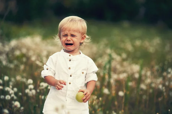 upset crying baby . Boy crying on a walk holding an Apple