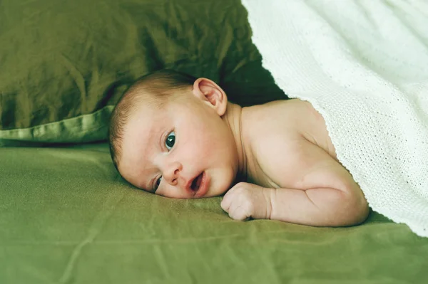 Bebé Recém Nascido Menina Recém Nascida — Fotografia de Stock