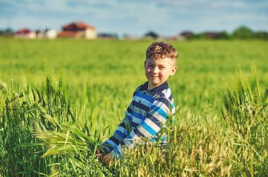 Çocuk bir yaz üzerinde yürümek bir alana buğday