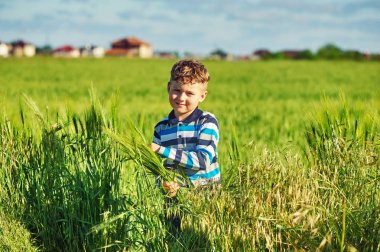 Çocuk bir yaz üzerinde yürümek bir alana buğday