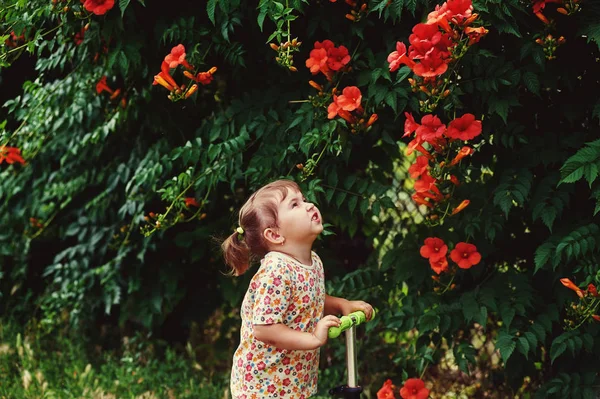 Bir Yaz Gününde Bir Yolda Neşeli Küçük Kız — Stok fotoğraf