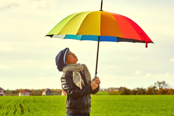 Junge Auf Dem Feld Mit Einem Bunten Regenschirm Das Kind — Stockfoto