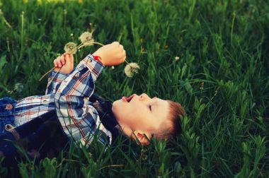 küçük bir çocuk çimlere uzanmış çiçek elinde karahindiba tutar. Karahindiba ile oynayan çocuk