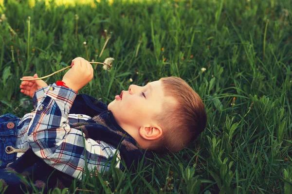 Small Boy Lying Grass Holds Hands Flowers Dandelion Boy Playing — Stock Photo, Image