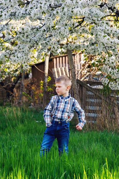 时髦的小男孩 这个孩子穿着牛仔裤和格子衫 农村开花树背景下的男孩造型 — 图库照片