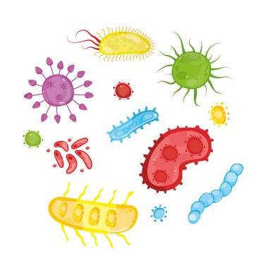 Farklı virüs ve bakteri türlerinin modern vektör çizimi. Beyaz arka planda izole edilmiş. Güzel mikroorganizma ve mikrop seti. Bakteriyel enfeksiyon.