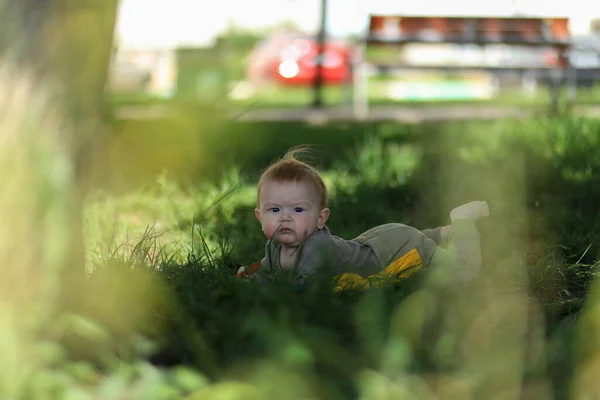 Baby Ligt Groen Gras Een Zonnige Dag — Stockfoto