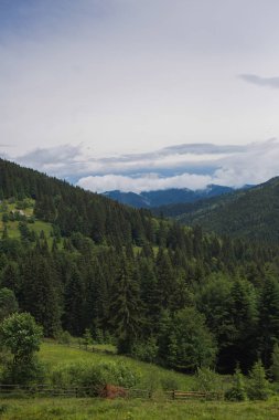 güzel bir bulutlu dağ manzarası