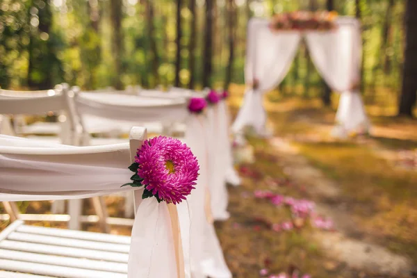 Closeup view of beautiful floral elements — Stock Photo, Image