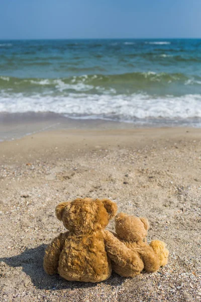 3 милих коричневих плюшевих ведмедів сидять на тропічному пляжі — стокове фото