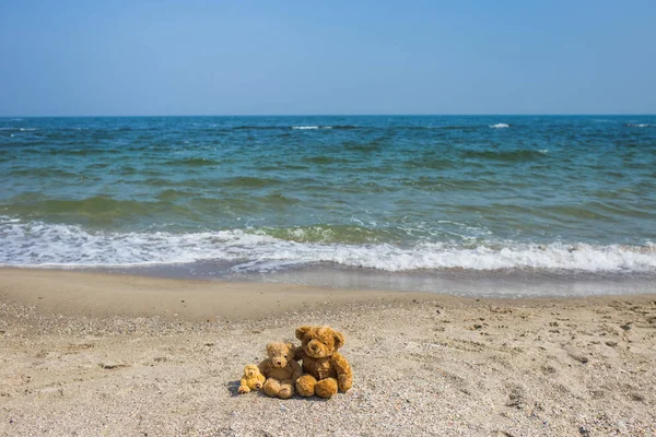 3 ursinhos de pelúcia marrom bonito sentar na praia tropical — Fotografia de Stock