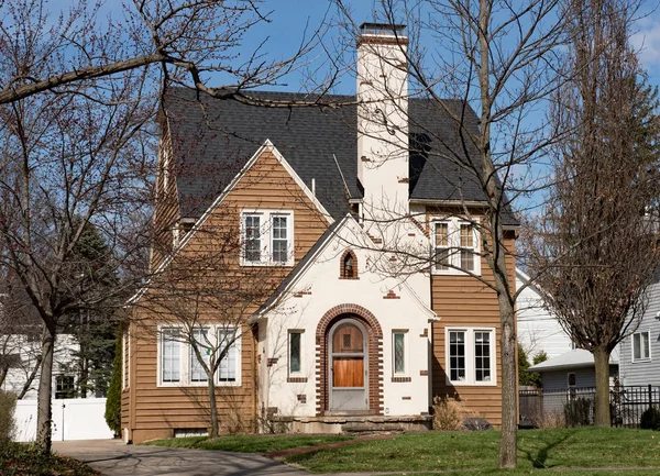 Maison en bois brun avec cheminée — Photo