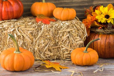 sonbahar ev dekorasyonu.