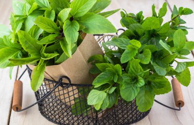 Reyhan ve nane taze kesilmiş.