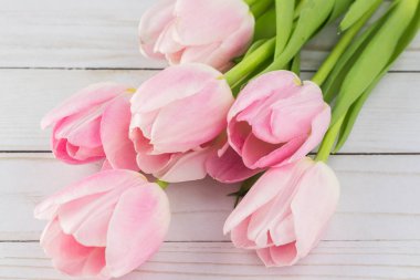 Tatil için harika laleler.