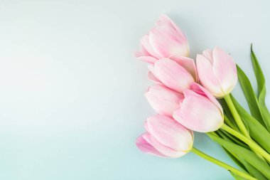 Tatil için harika laleler.