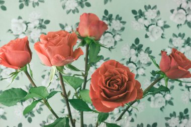 Muhteşem Güller Sevgililer günü.