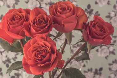 Tatil için çok güzel güller.