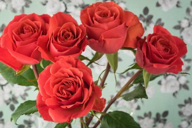 Muhteşem Güller Sevgililer günü.