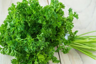 taze organik maydanoz.