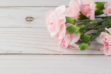 Tatil için pembe karanfil.