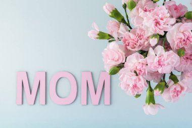 Anneler günü için pembe karanfil.