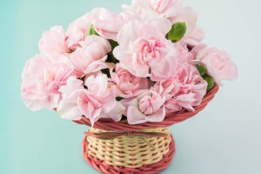 Anneler günü için pembe karanfil.