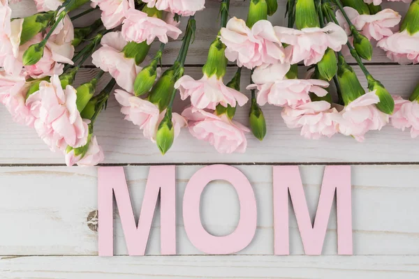 Růžové karafiáty pro den matek. — Stock fotografie