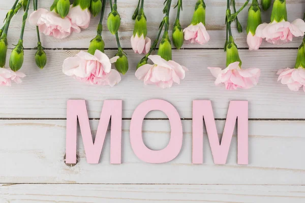 Růžové karafiáty pro den matek. — Stock fotografie