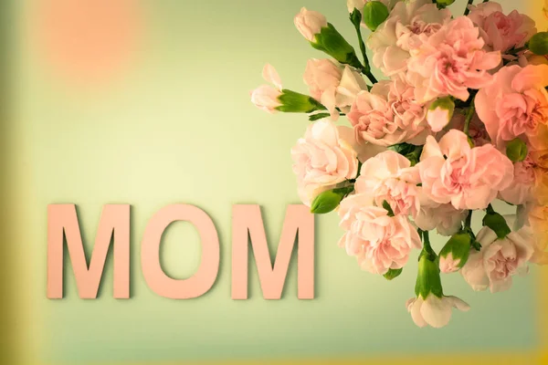 Różowe goździki na dzień matki. — Zdjęcie stockowe