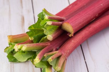 Ravent taze kesilmiş.