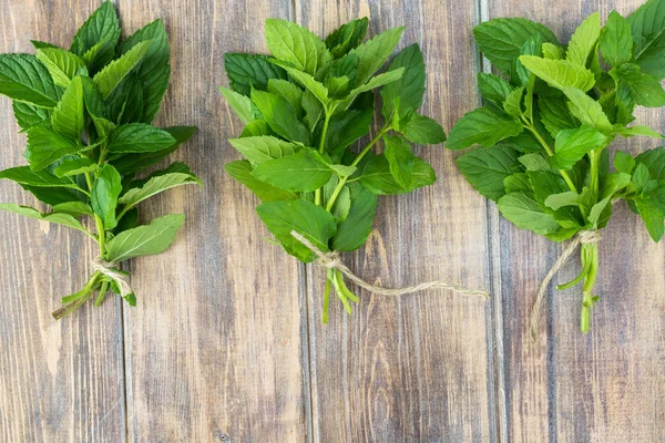 Menta fresca cortada . — Foto de Stock