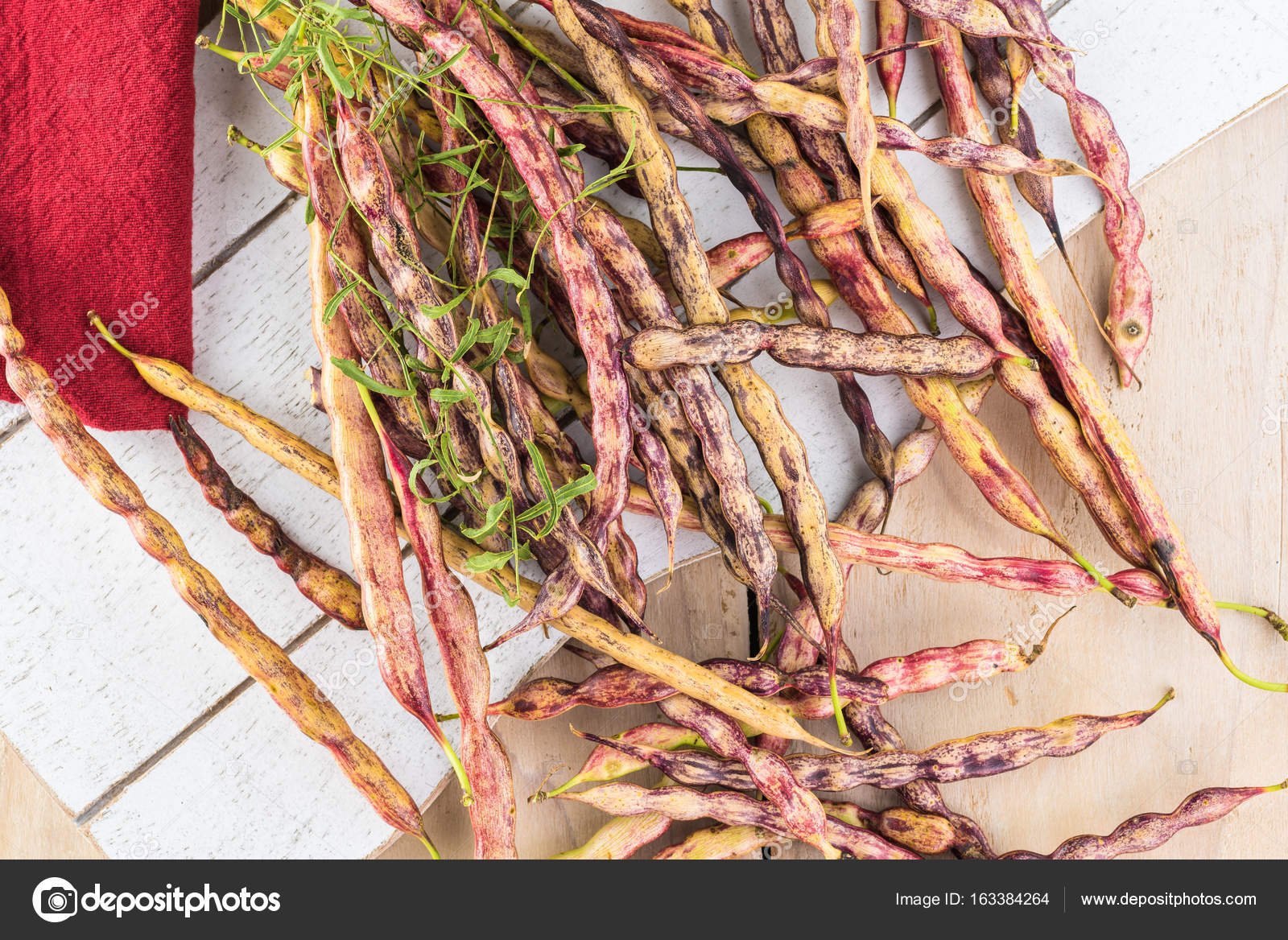 Can Dogs Eat Mesquite Beans