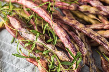 Vahşi mesquite fasulye.