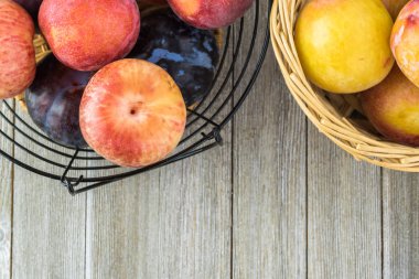 Taze çeşitli plumcots.