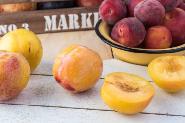 Taze çeşitli plumcots.