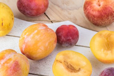 Taze çeşitli plumcots.