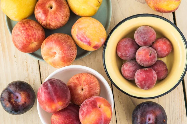 Taze çeşitli plumcots.