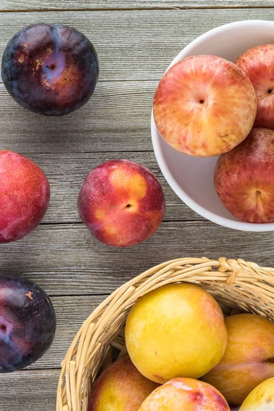 Taze çeşitli plumcots.