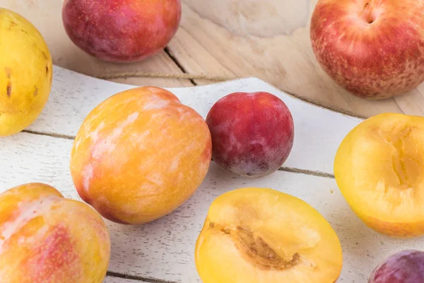 Taze çeşitli plumcots.