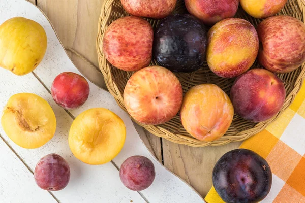 Taze çeşitli plumcots.