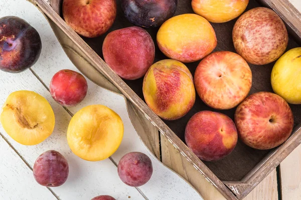 Taze çeşitli plumcots.